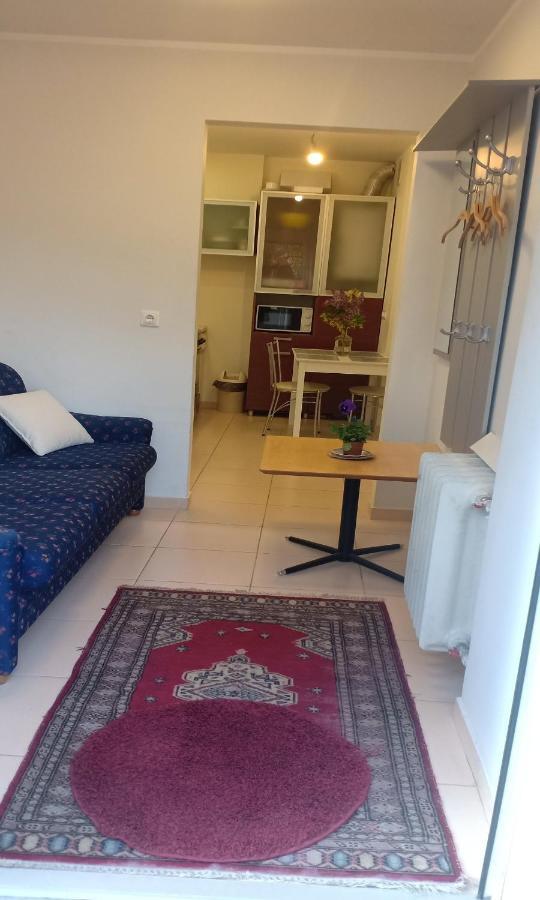 Kaunas Downtown Apartments Zewnętrze zdjęcie