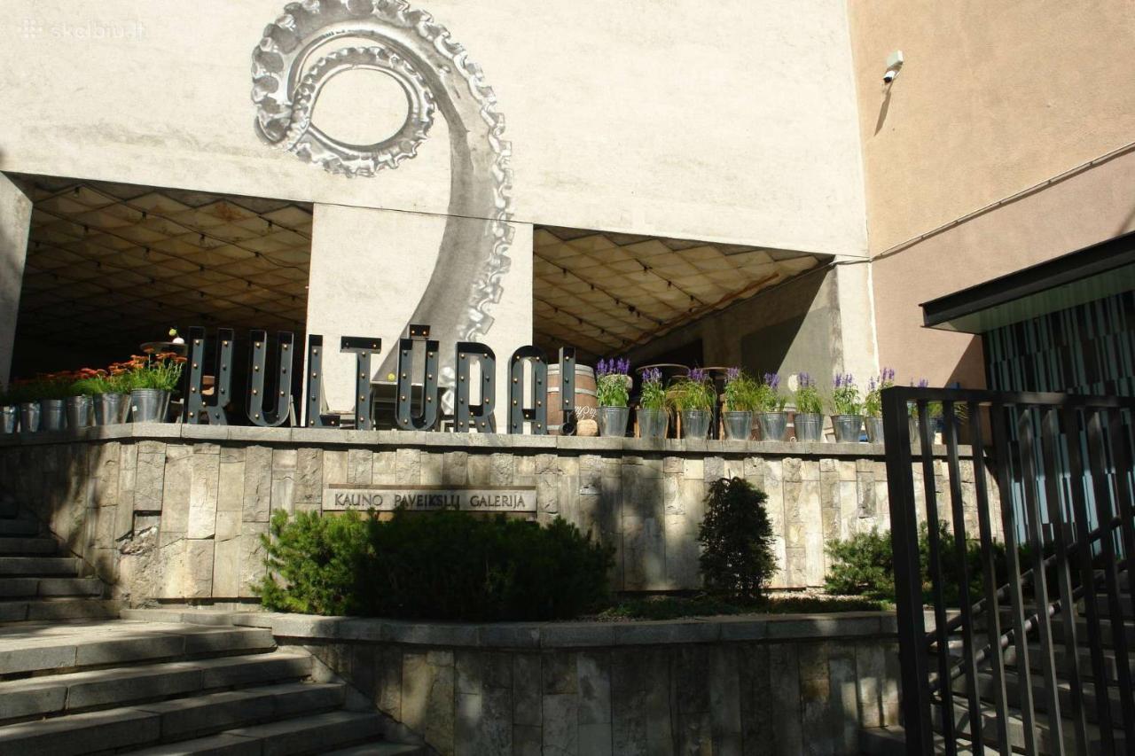 Kaunas Downtown Apartments Zewnętrze zdjęcie