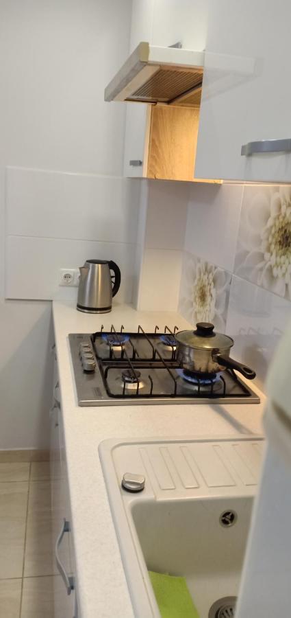 Kaunas Downtown Apartments Zewnętrze zdjęcie