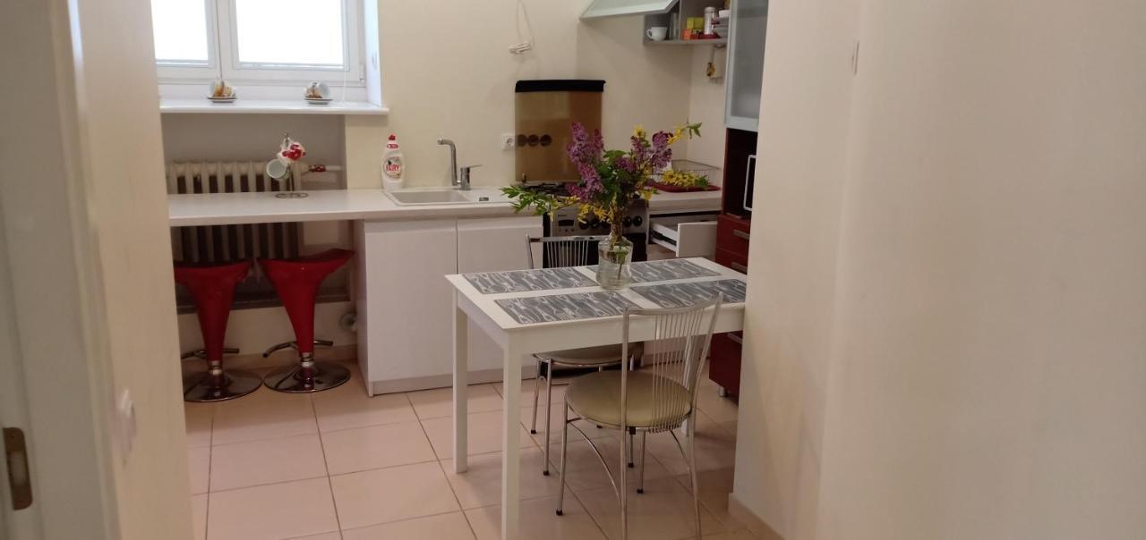 Kaunas Downtown Apartments Zewnętrze zdjęcie