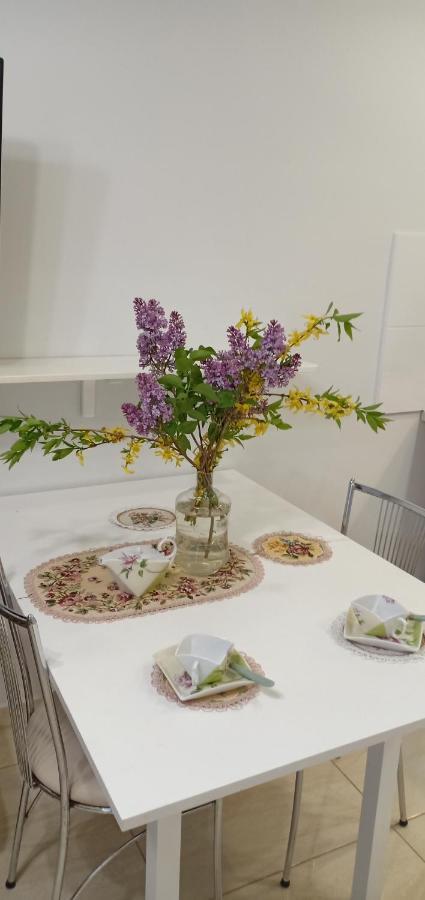 Kaunas Downtown Apartments Zewnętrze zdjęcie